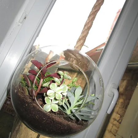 Les Croisiers Апартаменты