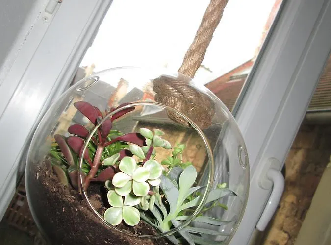 Les Croisiers Apartamento